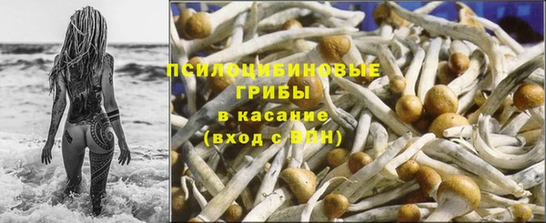 дживик Аркадак